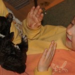 Australian labradoodle puppies and kid