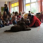 Australische Labradoodle-Gala im Kindergarten