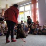 Australian Labradoodle Gala in kindergarten