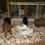 wij verkennen de omgeving