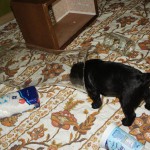 wat gebeurt er als ik mijn hoofd erin steek?